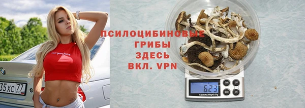СК Абдулино