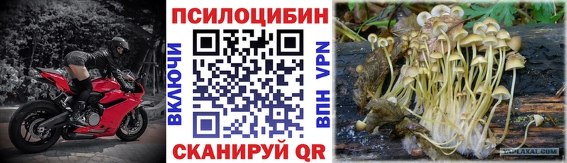 Псилоцибиновые грибы Cubensis  продажа наркотиков  Заволжье 
