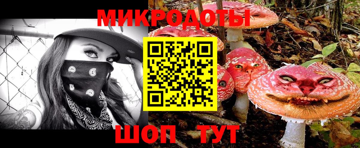 Псилоцибиновые грибы мицелий  Псилоцибиновые грибы Magic Shrooms  Заволжье  Вход с VPN 