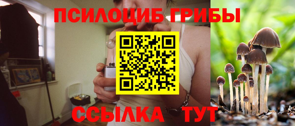 Галлюциногенные грибы мицелий Заволжье