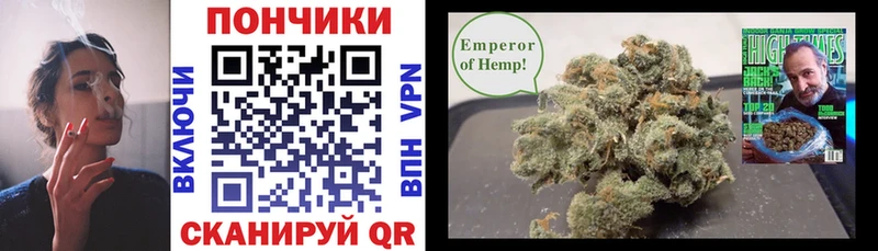 наркота  Заволжье  Канабис Amnesia 